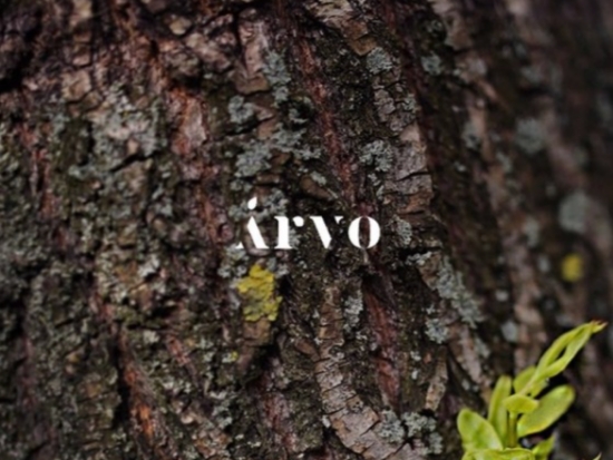 Arvo